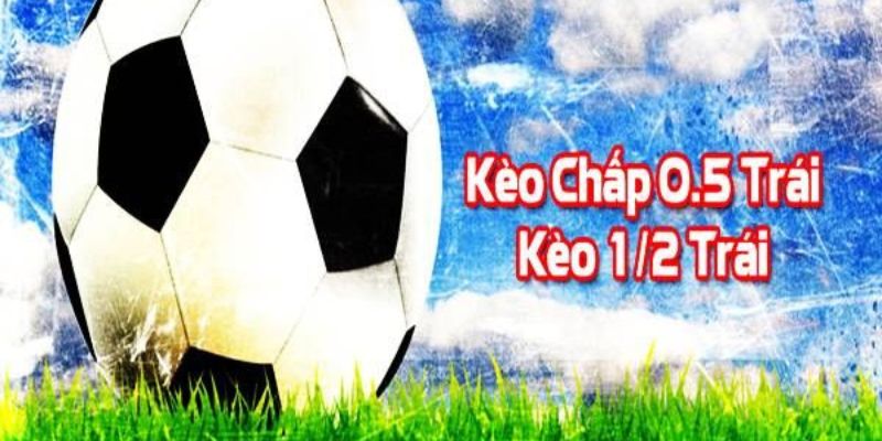 Đọc vị kèo chấp 0.5 cực chi tiết cùng DF999